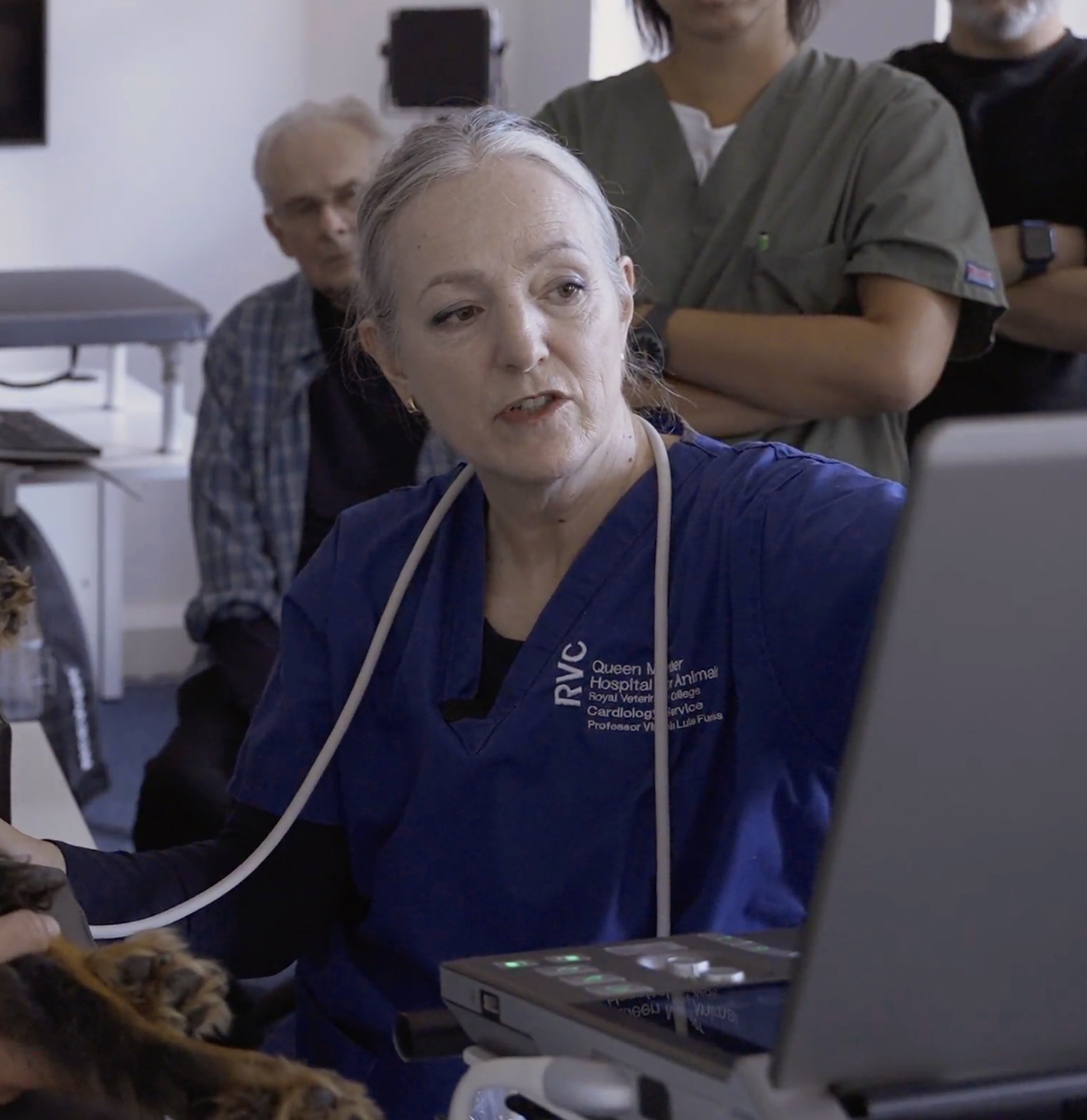 Prof Luis Fuentes performing an echocardiogram