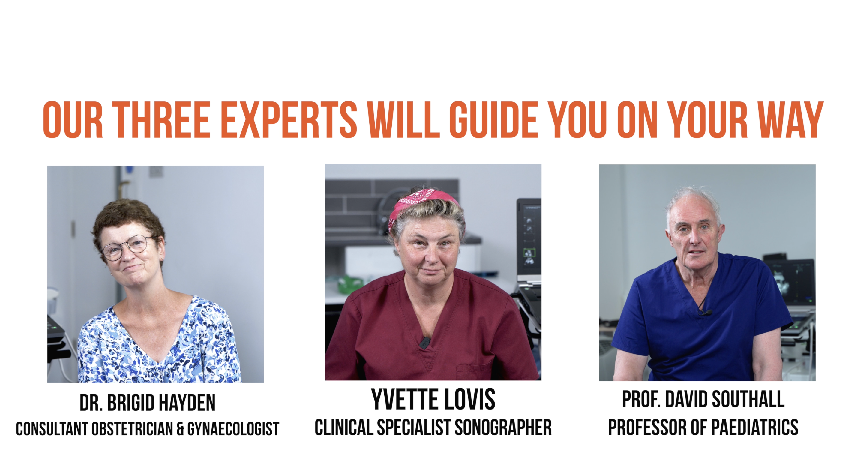 Your expert mentors